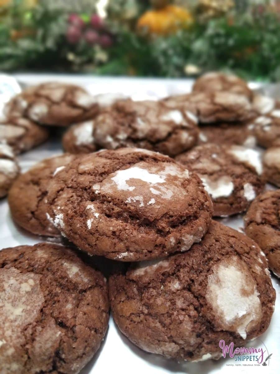 Chocolate Cookies Without Baking Soda
