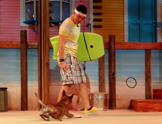 Pets Ahoy, SeaWorld San Antonio's newest show- Mommy Snippets (28)