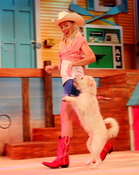 Pets Ahoy, SeaWorld San Antonio's newest show- Mommy Snippets (33)