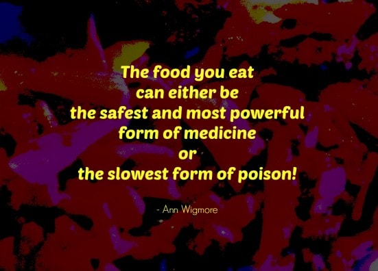 The food you eat quote