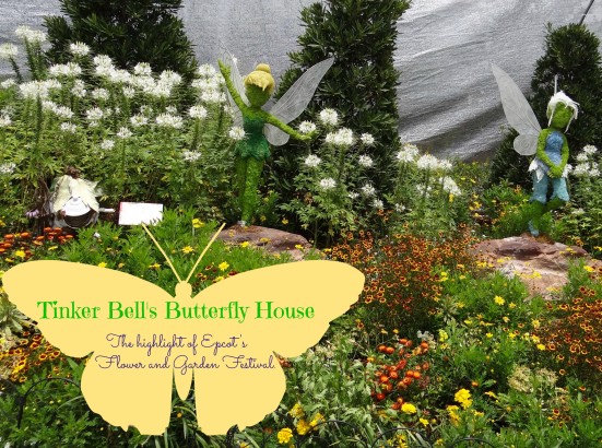 Epcot, 20th Flower and Garden Festival, Tinker Bell's Butterfly House, Butterfly, Butterflies