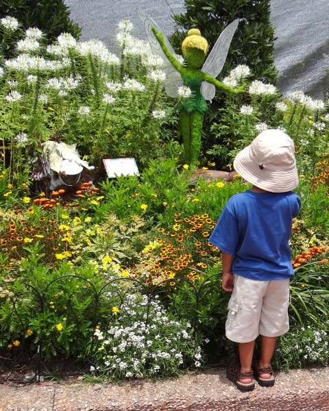 Tinker Bell's Butterfly House- the highlight of Epcot's 20th Flower and Garden Festival, Walt Disney World. {Travel with Mommy Snippets} (22)