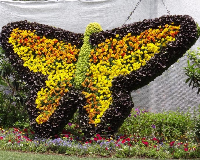 Tinker Bell's Butterfly House- the highlight of Epcot's 20th Flower and Garden Festival, Walt Disney World. {Travel with Mommy Snippets} (24)