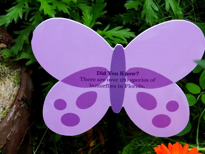 Tinker Bell's Butterfly House- the highlight of Epcot's 20th Flower and Garden Festival, Walt Disney World. {Travel with Mommy Snippets} (3)