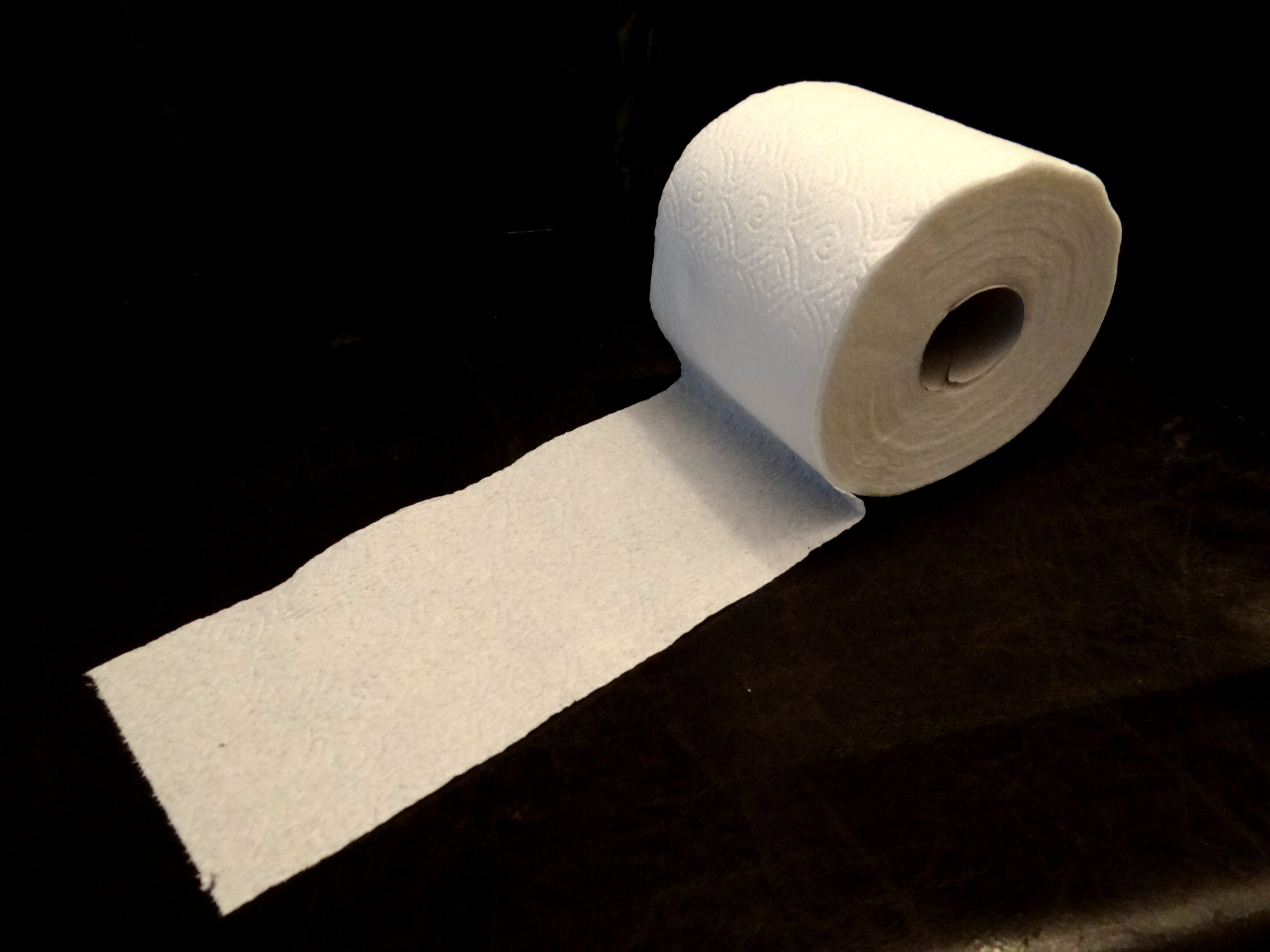 toilet paper origami