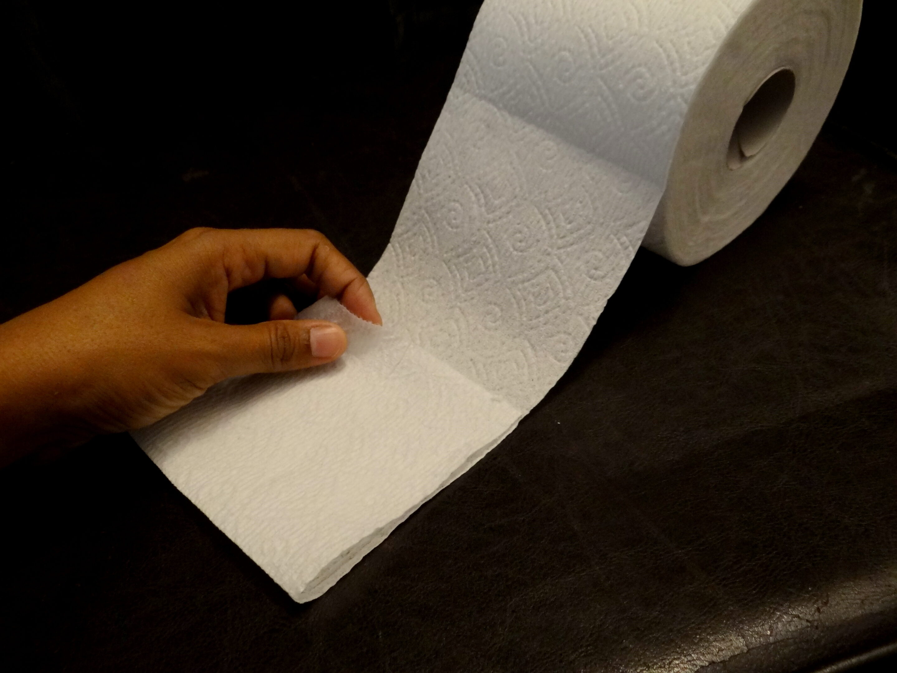 toilet paper origami easy