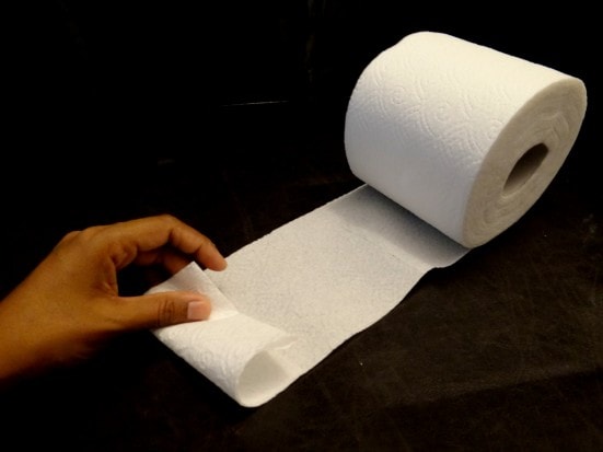 toilet paper origami