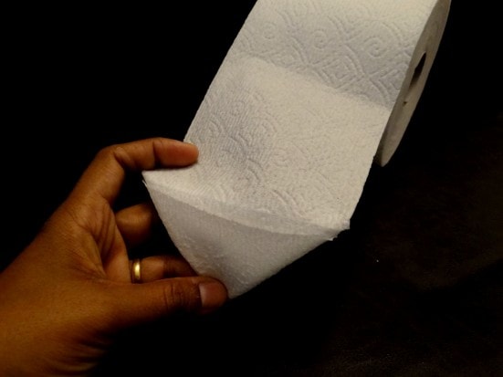 Toilet paper origami