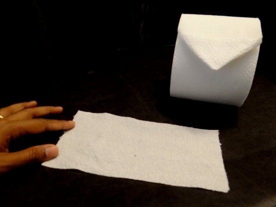 Toilet paper origami