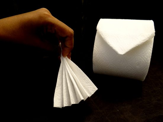 Toilet paper origami