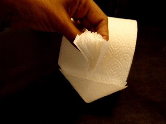 toilet paper origami