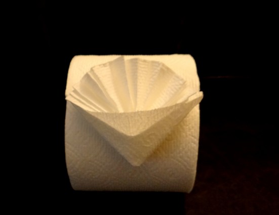 toilet paper origami easy