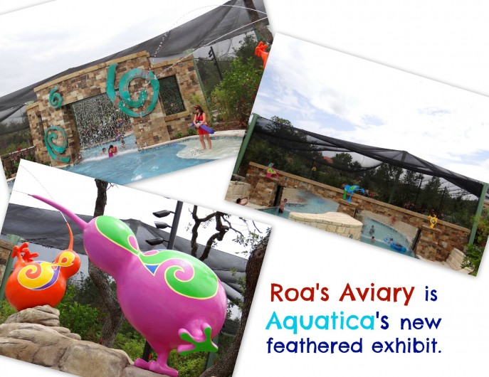 Roa's Aviary is Aquatica's new feathered exhibit.