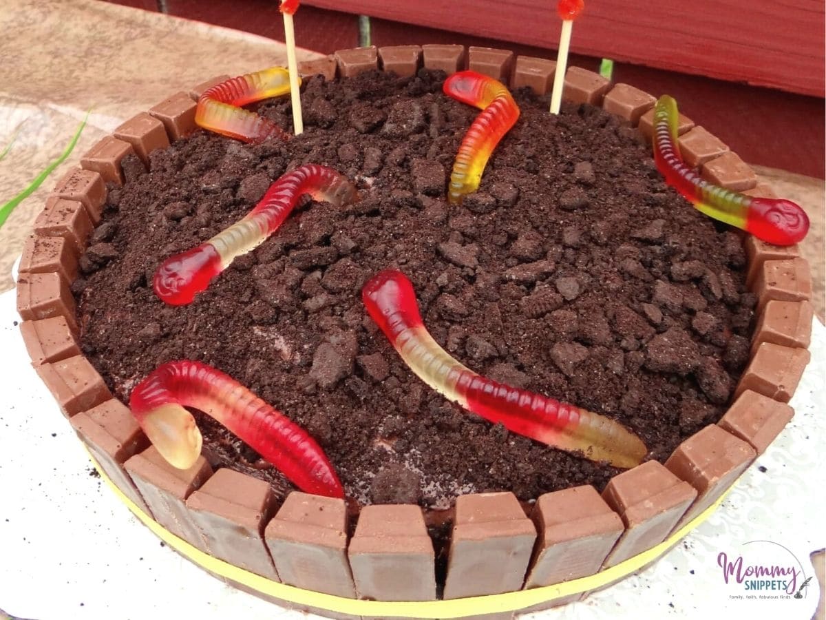 Dirt and Worms Cake