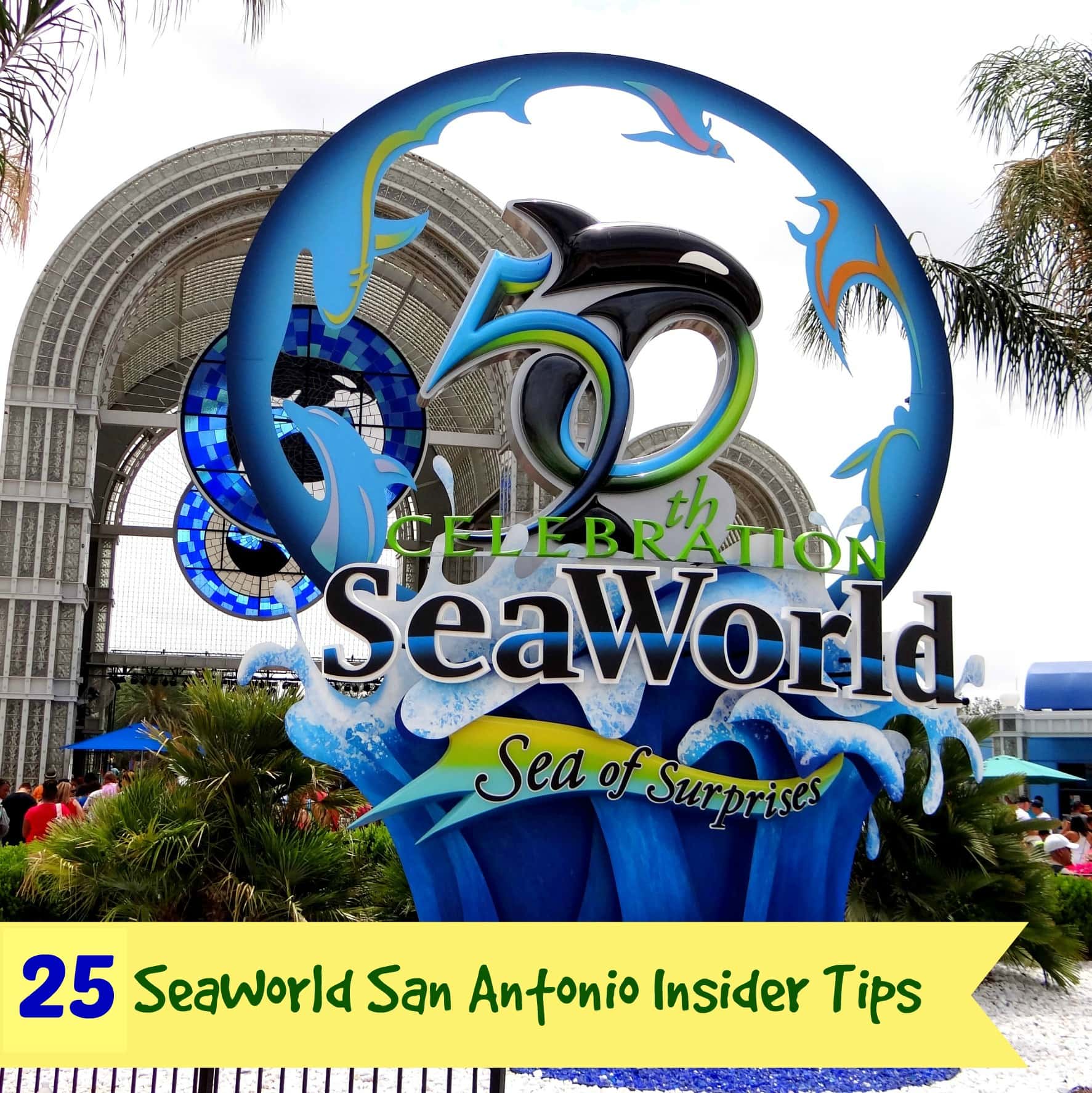 25 of the Best SeaWorld San Antonio Tips for Your Next Visit