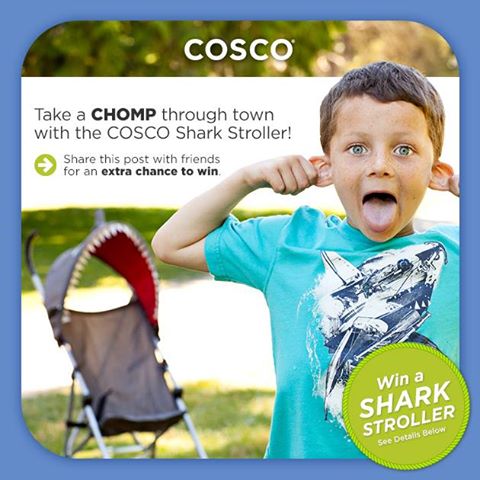 cosco shark stroller