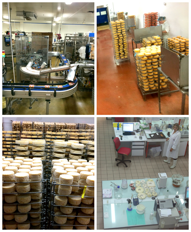 cheesefactory