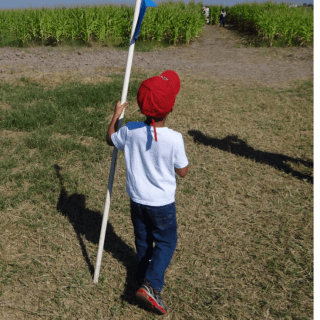 6 Ways to get our Kids to enjoy Nature and the Great Outdoors
