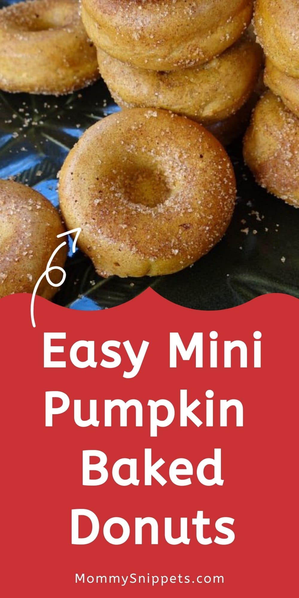 Easy Mini Pumpkin Baked Donuts Recipe