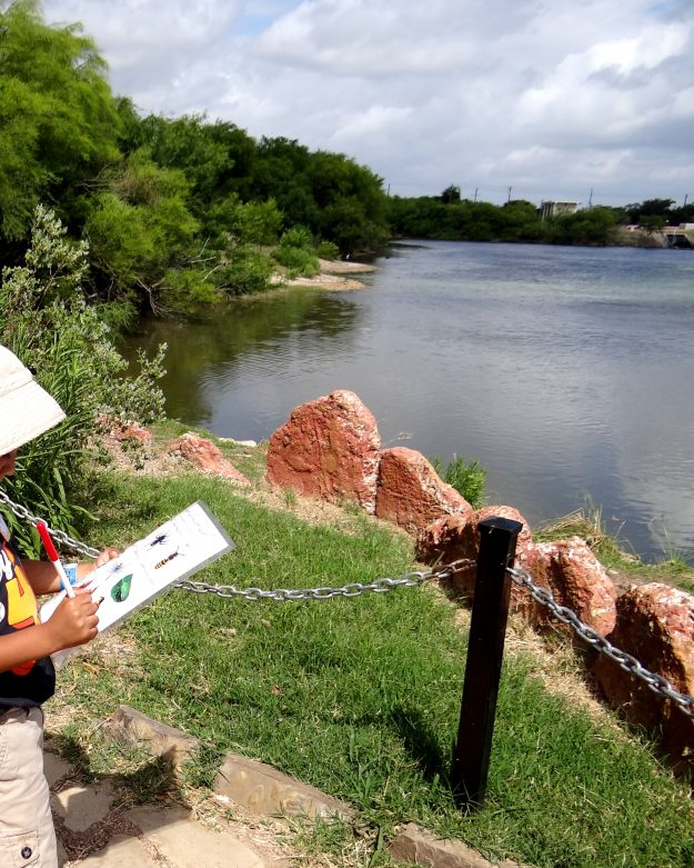 Fostering a love for the Great Outdoors at the Wetlands Park (2)