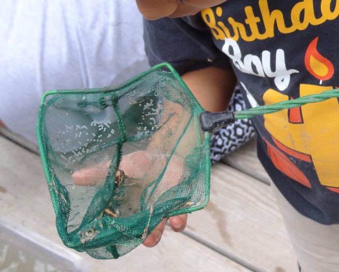 Fostering a love for the Great Outdoors at the Wetlands Park (216)