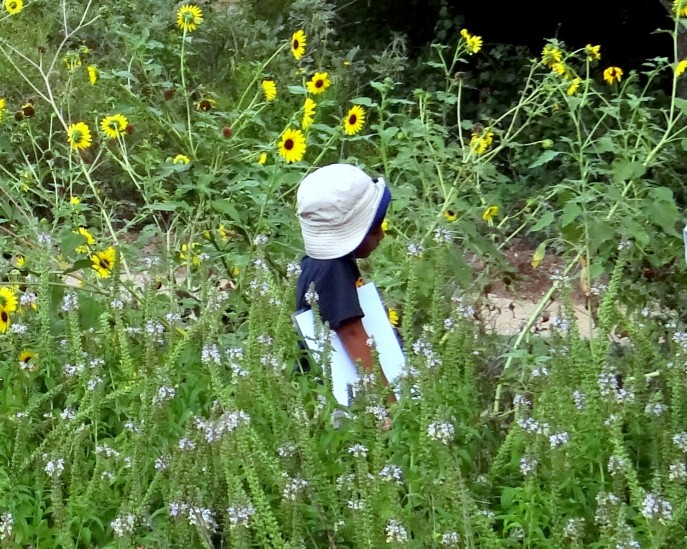 Fostering a love for the Great Outdoors at the Wetlands Park (58)