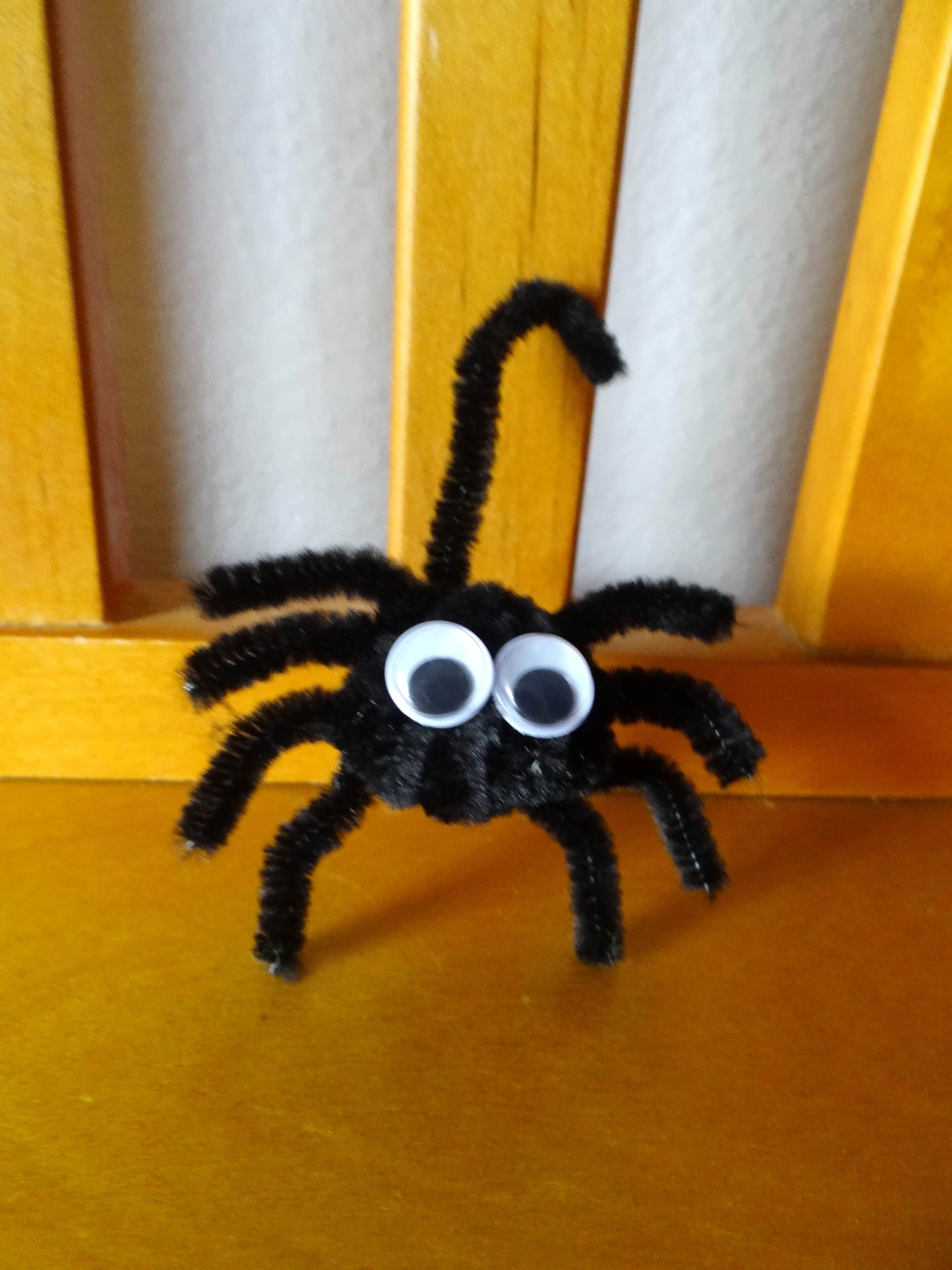 Pipe Cleaner Spider