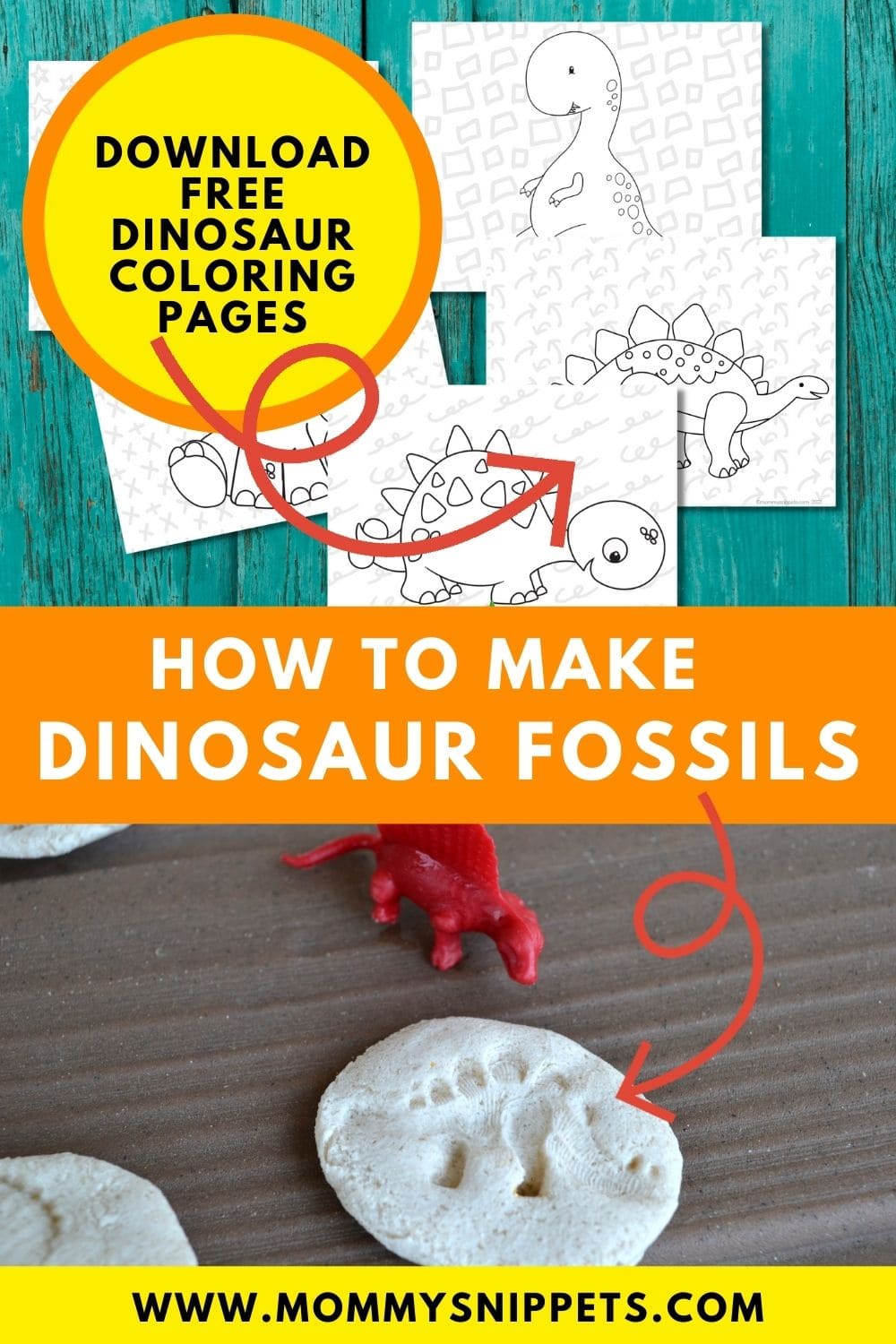 coloring pages fossils