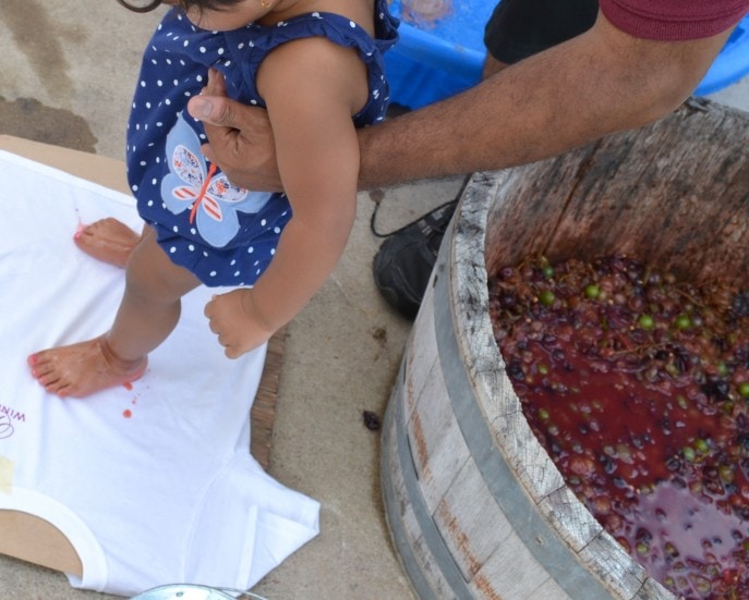 Grape_stomping_Windy_Winery_Brenham_Texas_#VisitBrenham_Travel (75)