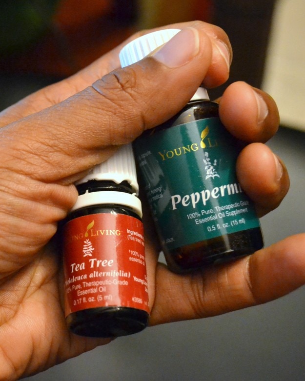 Young Living Peppermint and Tea Tree Oil-Mommy Snippets (2)