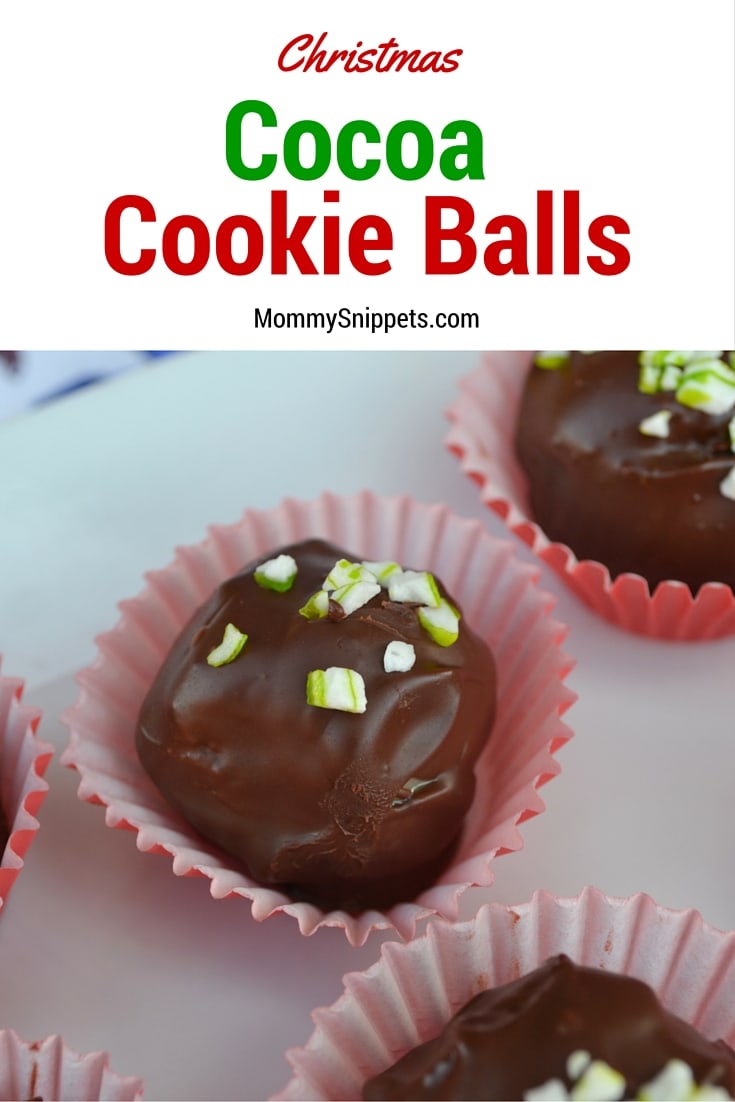 Christmas Cocoa Cookie Balls - MommySnippets.com