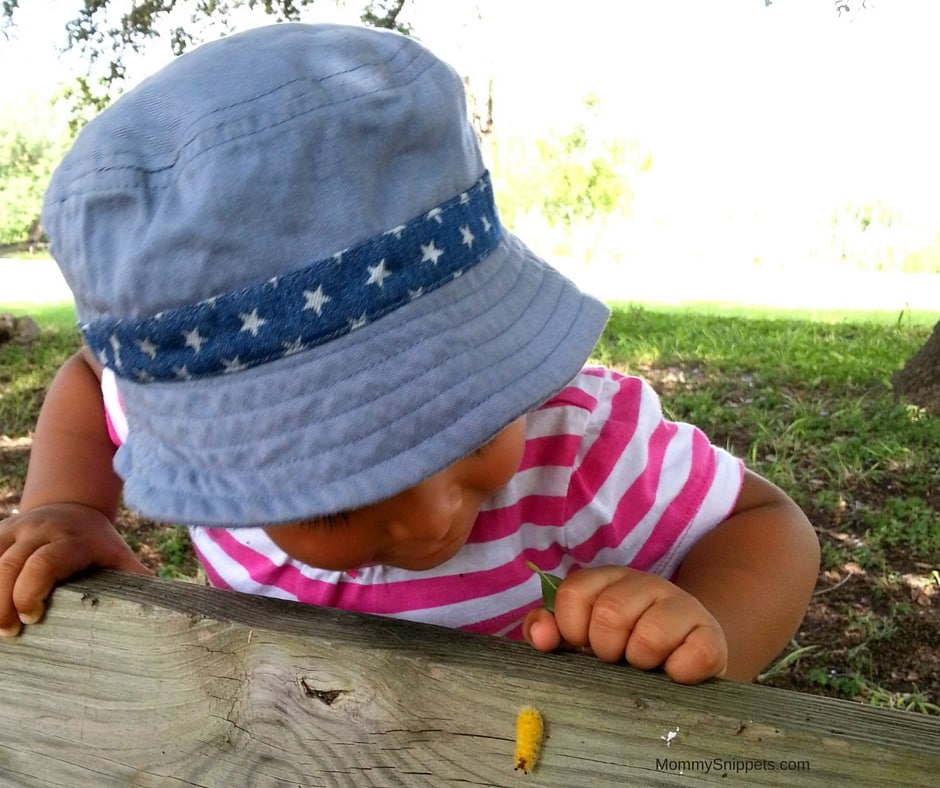 Baby studying a bug- Photo copyright-MommySnippets.com