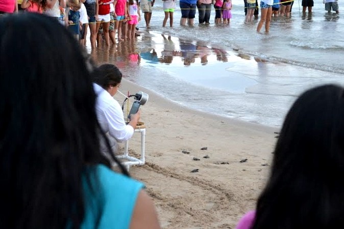 Grandma and grandaughter watching turtle release