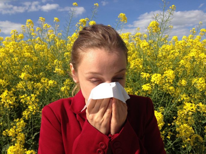 Tips On How To Stay Active Despite The Allergies