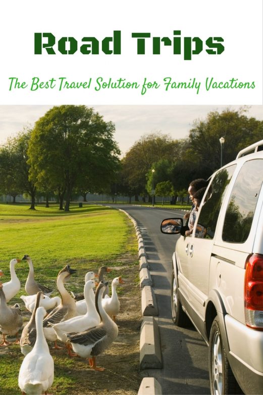 Why Road Trips Make the Best Travel Solution for Family Vacations- MommySnippets.com