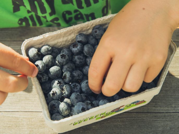 5 ways to keep your car interiors clean when traveling