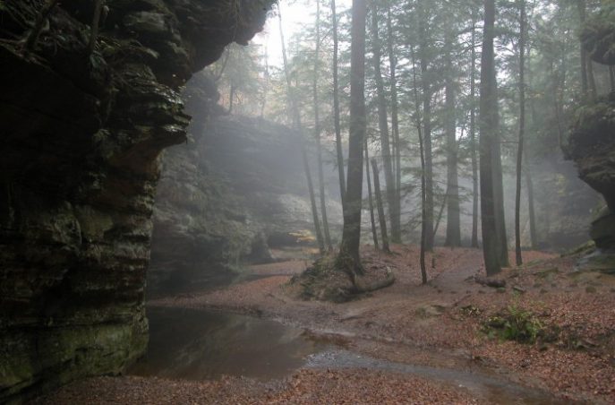 Photo Credit: Hocking Hills State Park