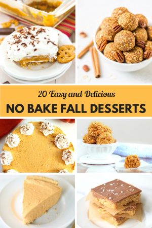 20 Easy And Delicious No Bake Fall Desserts