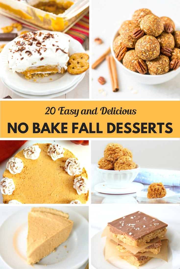 20 Easy and Delicious No Bake Fall Desserts