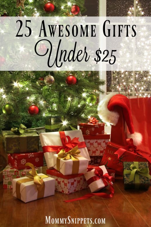 25 awesome gifts under $25