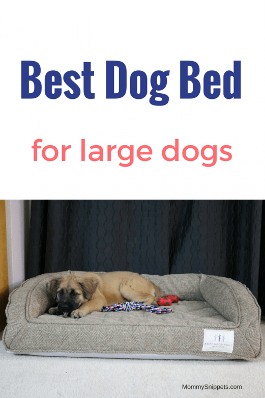 Best Dog Bed for Large Dogs- MommySnippets.com #ad