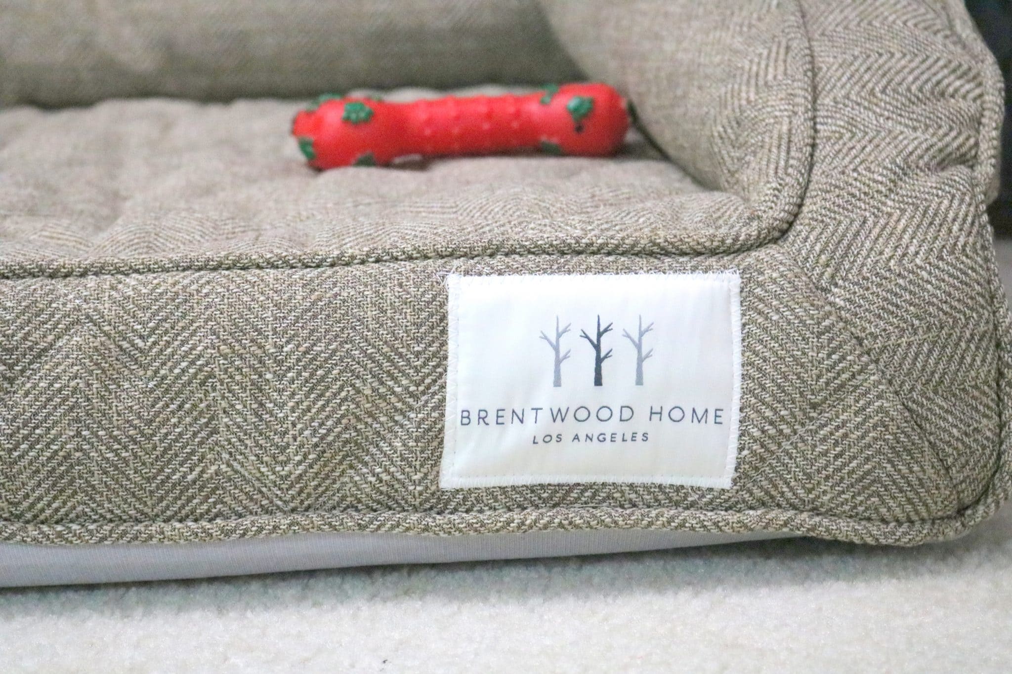The hunt for the Best Dog Bed for a Large Dog ends here!