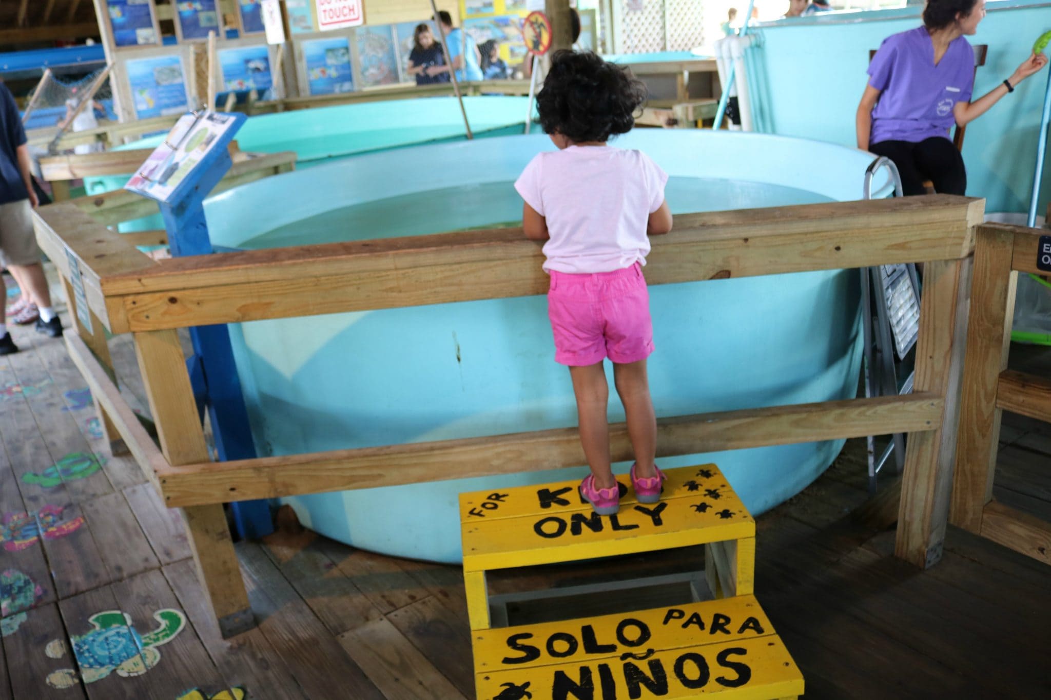 Child visiting Sea Turtle Inc, South Padre Island