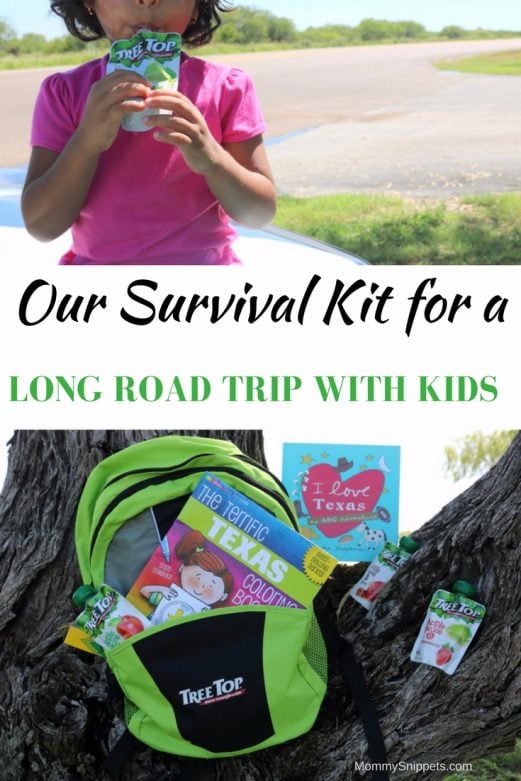 Our Survival Kit for a Long Road Trip with Kids- MommySnippets.com #NoMessTexas #sponsored