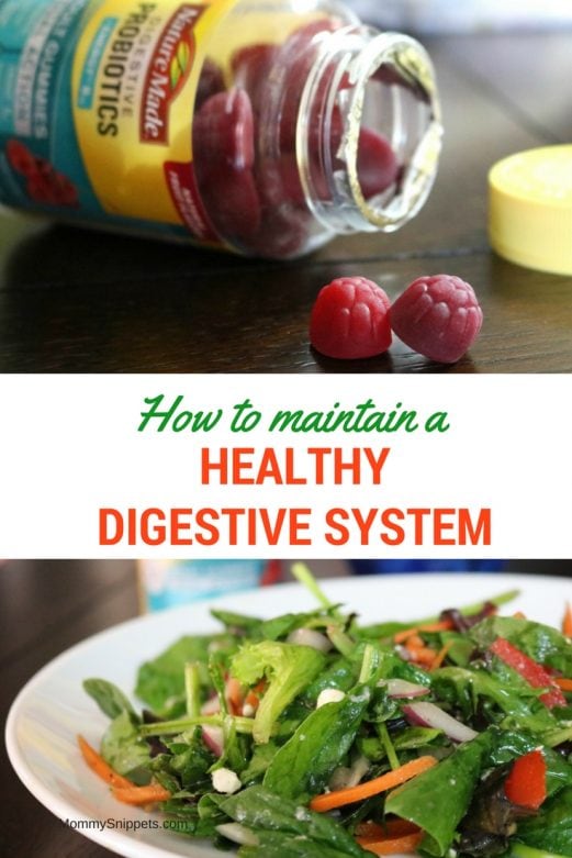 How to maintain a healthy digestive system - MommySnippets.com #NatureMadeProbiotics #CollectiveBias [ad]