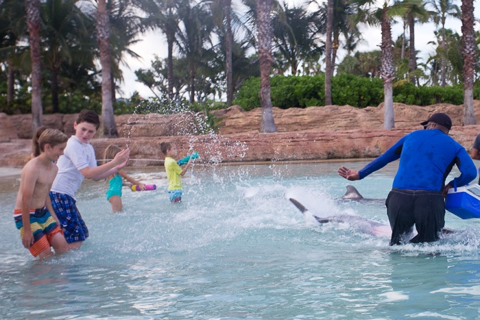 Splashing Dolphins at Atlantis