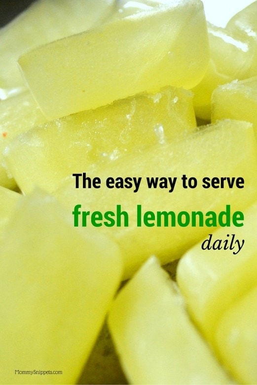The-easy-way-to-serve-fresh-lemonade-daily-Mommy-Snippets