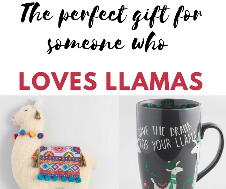 The perfect gift for someone who loves llamas