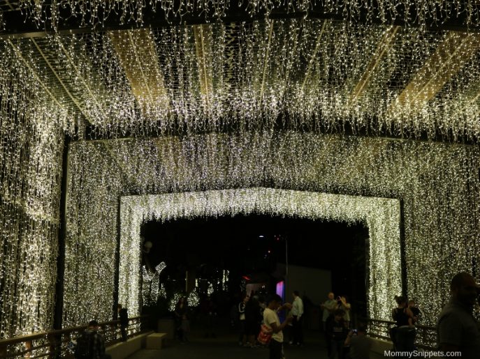 Celebrating the Christmas season at SeaWorld San Antonio ( A Photo