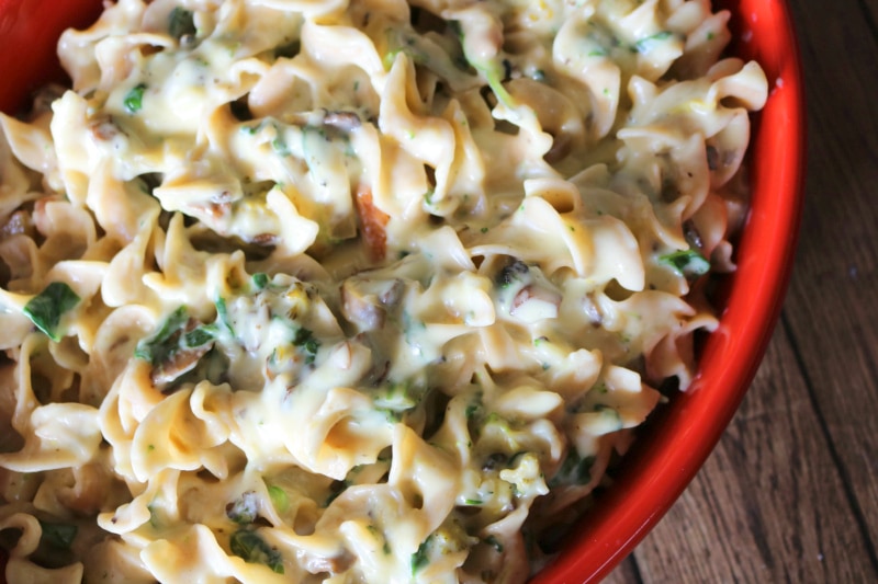 How to make an easy Creamy Noodles with Roasted Vegetables- MommySnippets.com #NoOtherNoodle #NoYolks #IC #ad